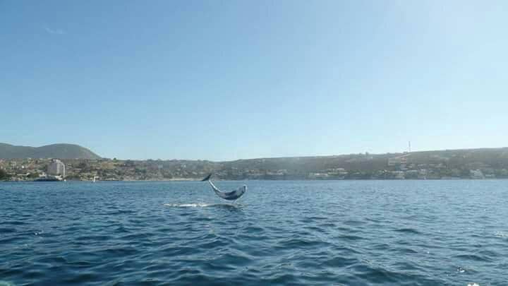 Totoralillo Beach