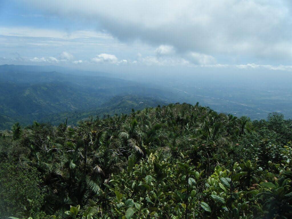 Canopy-Covered Trails