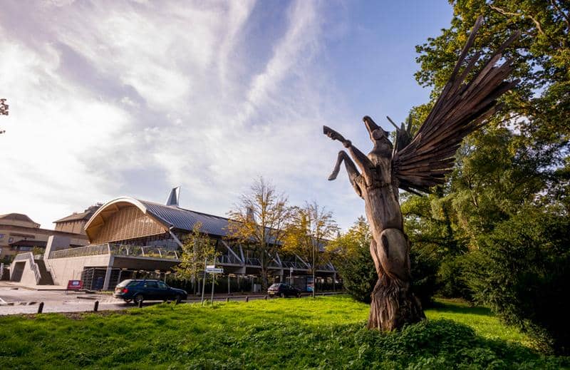 Eco-Friendly Architecture