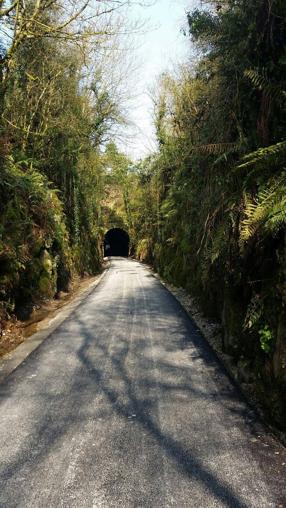 Charming Coffee Stops