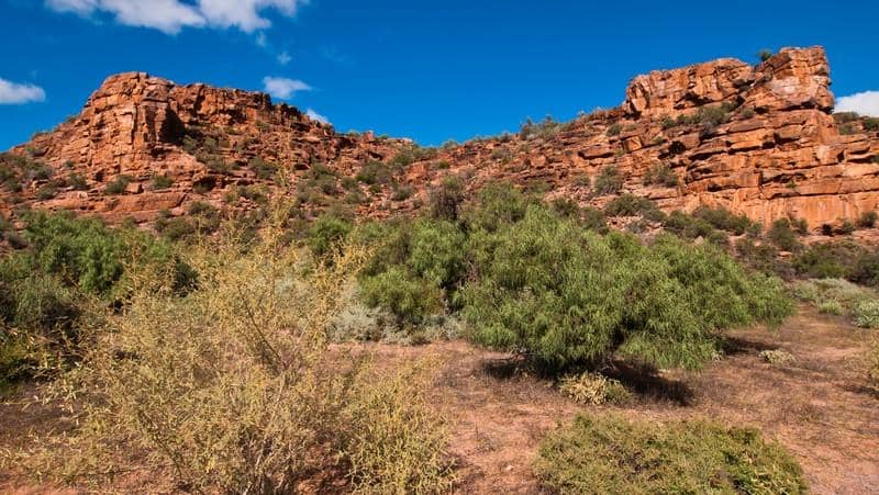 Highlights