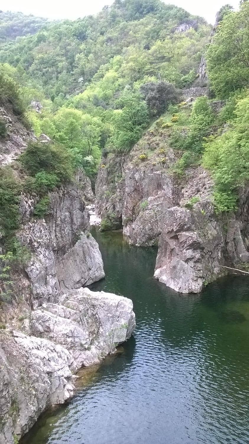 Vertical photo