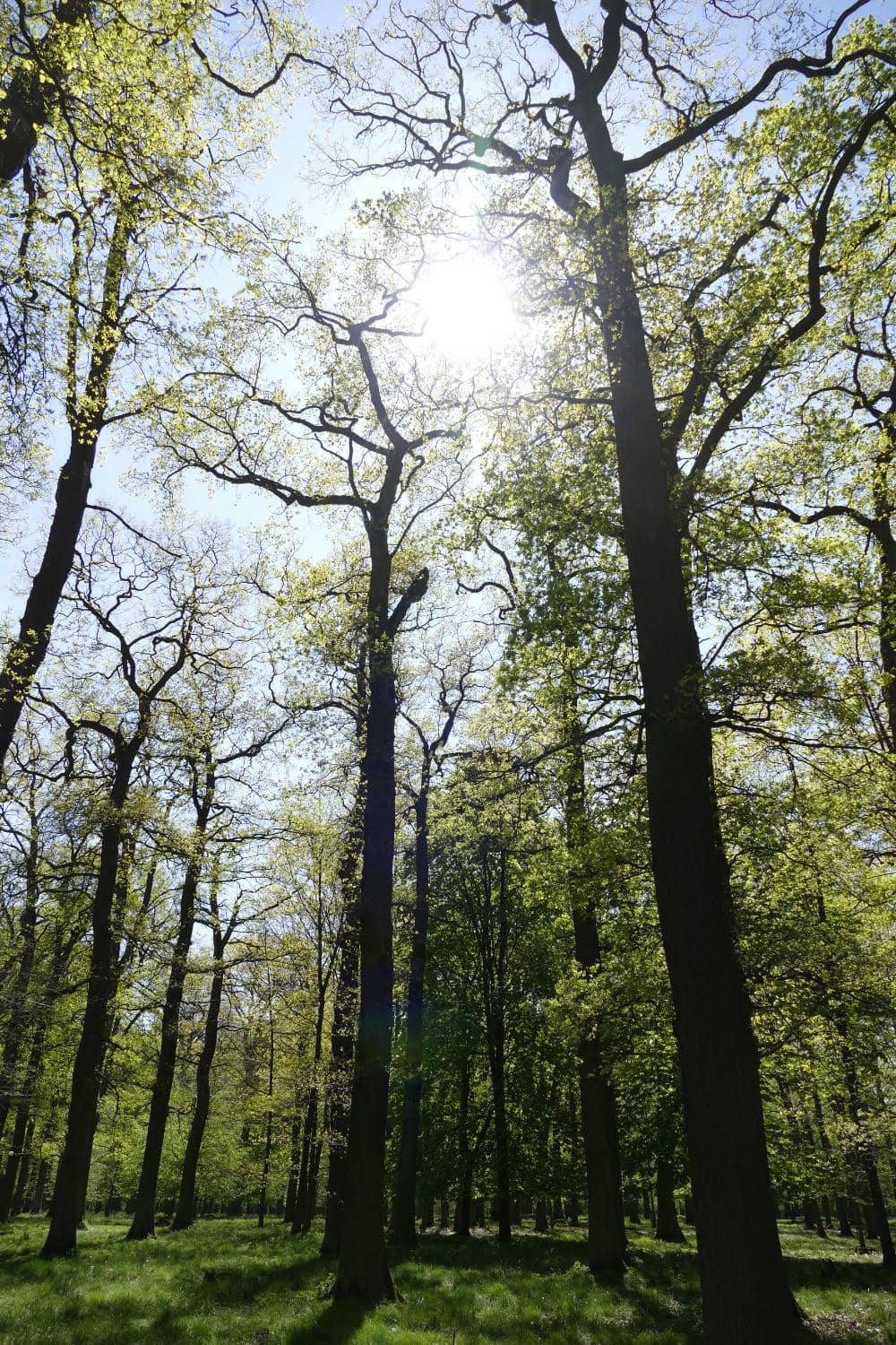 Vertical photo