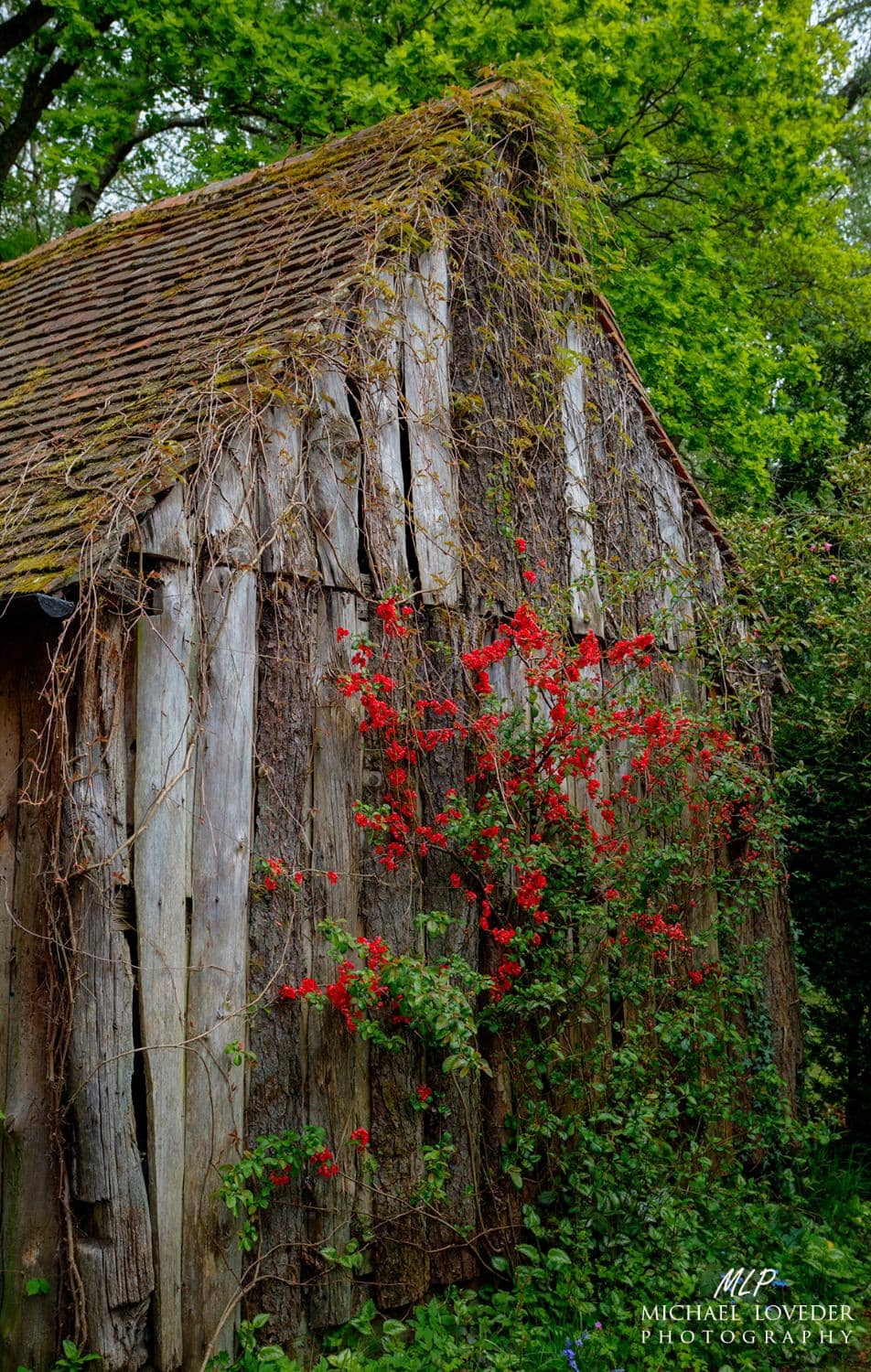 Charming Cottage Garden
