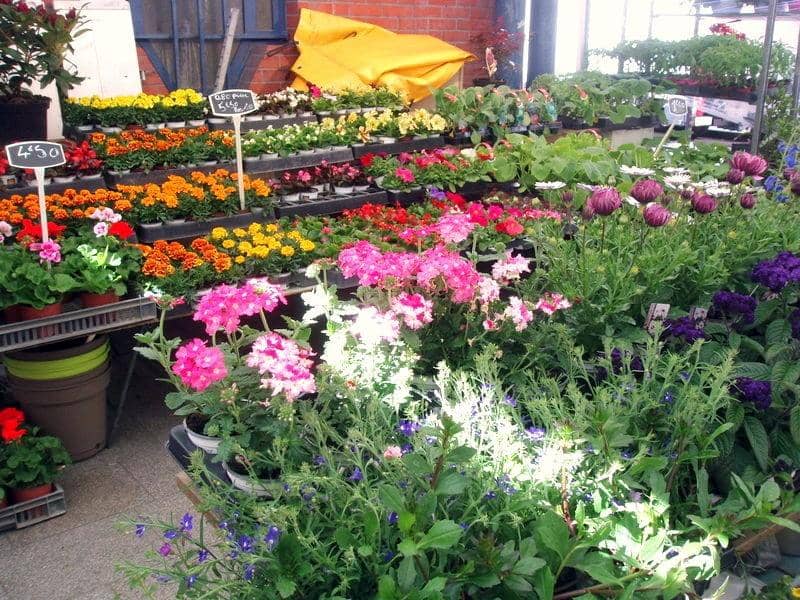 International Food Delights