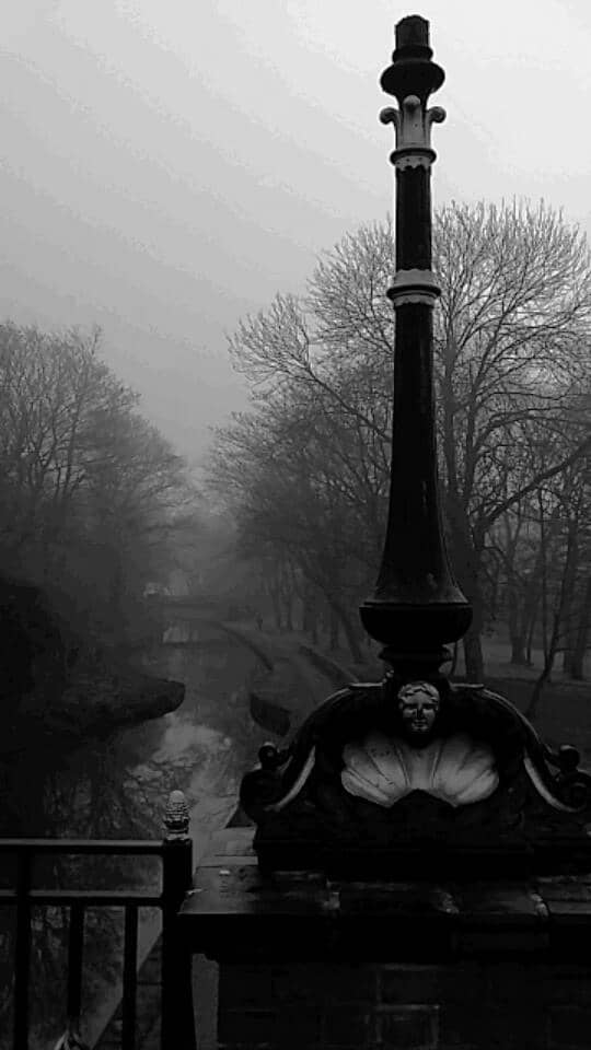 Adventure Playground