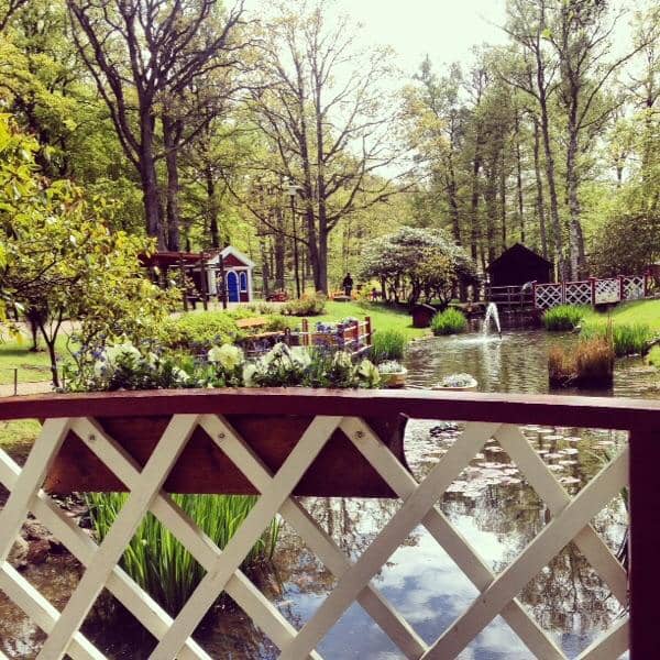 Live Music & Performances