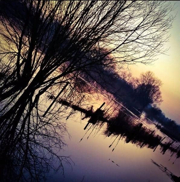 Waterfowl Wonderland