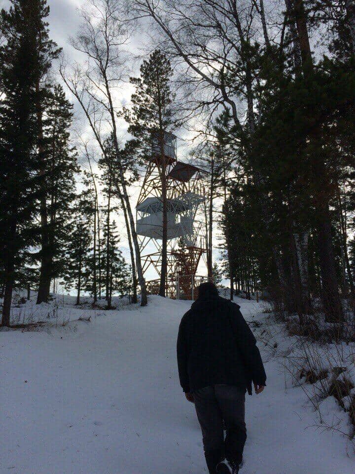 Mushroom and Herb Walks