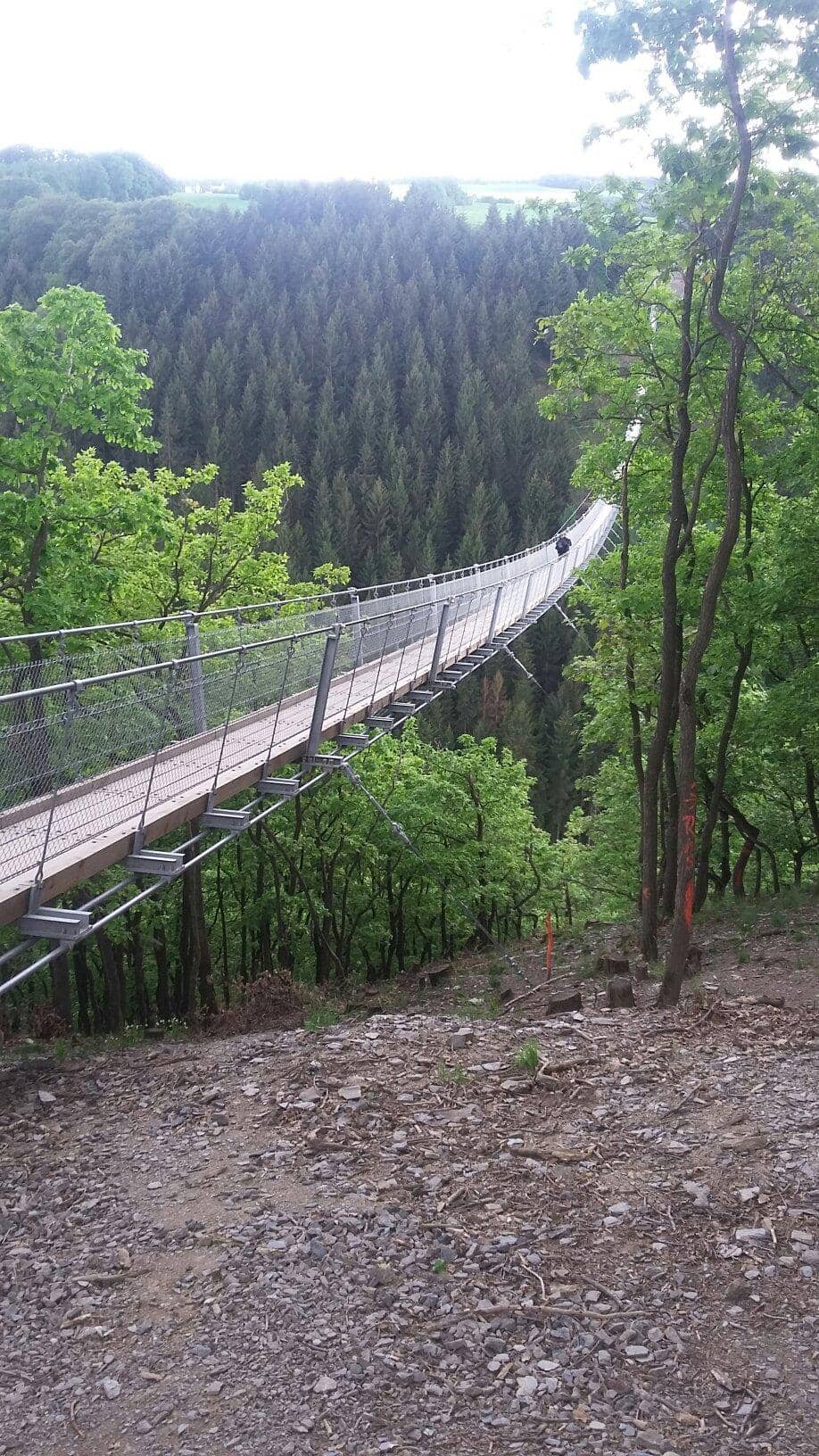 Vertical photo