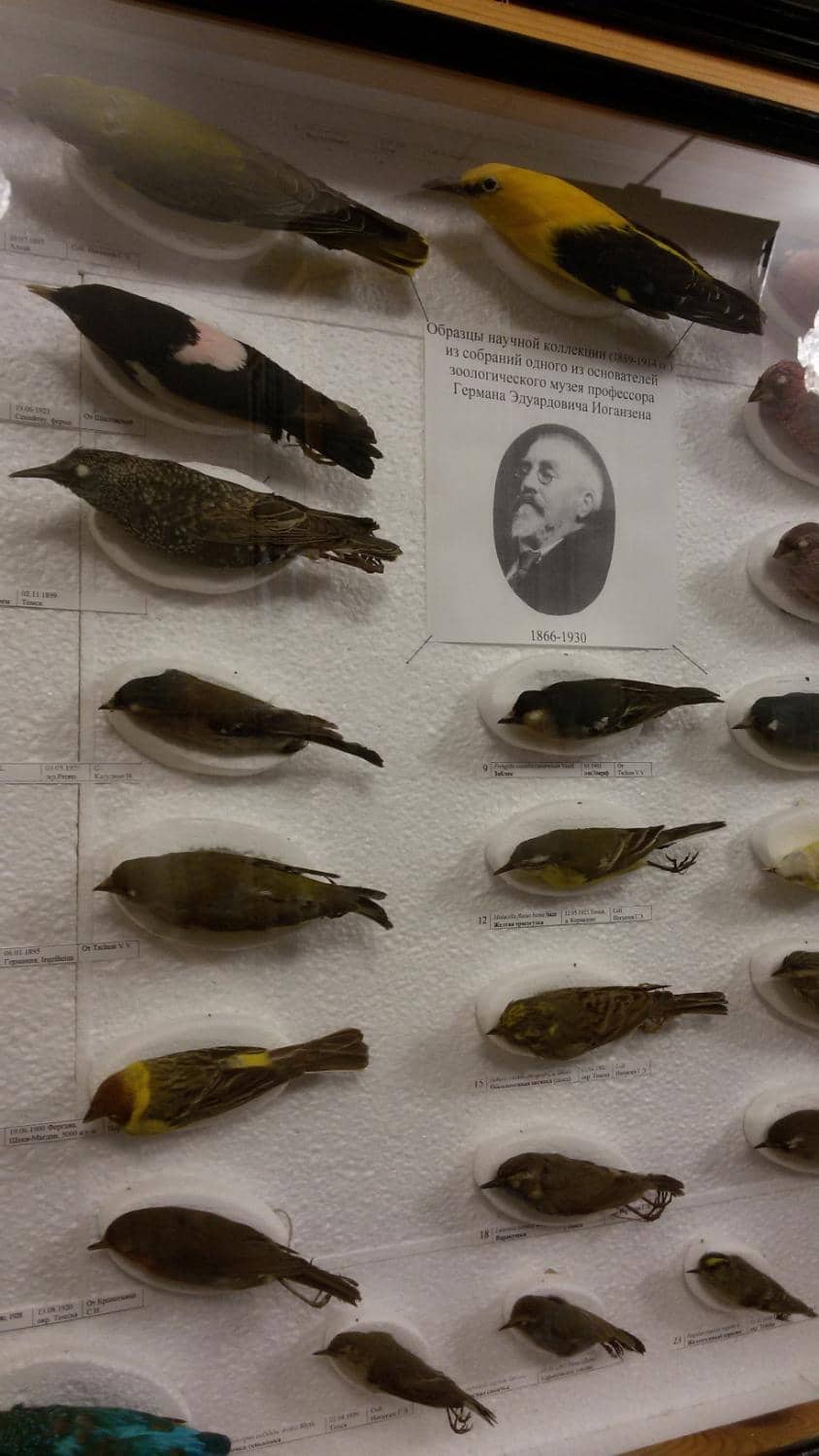 Authoritative Knowledge