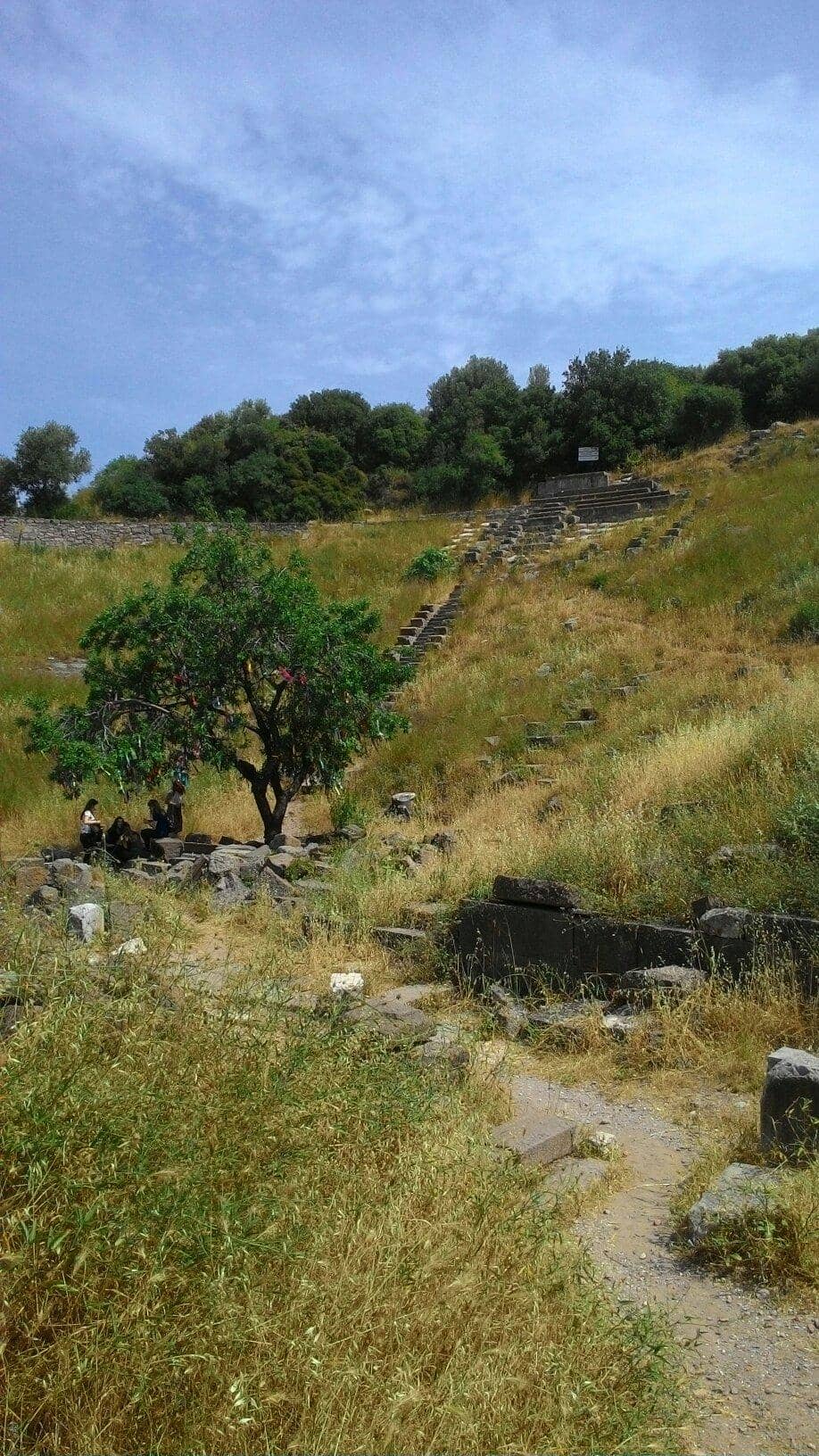 Temple of Athena