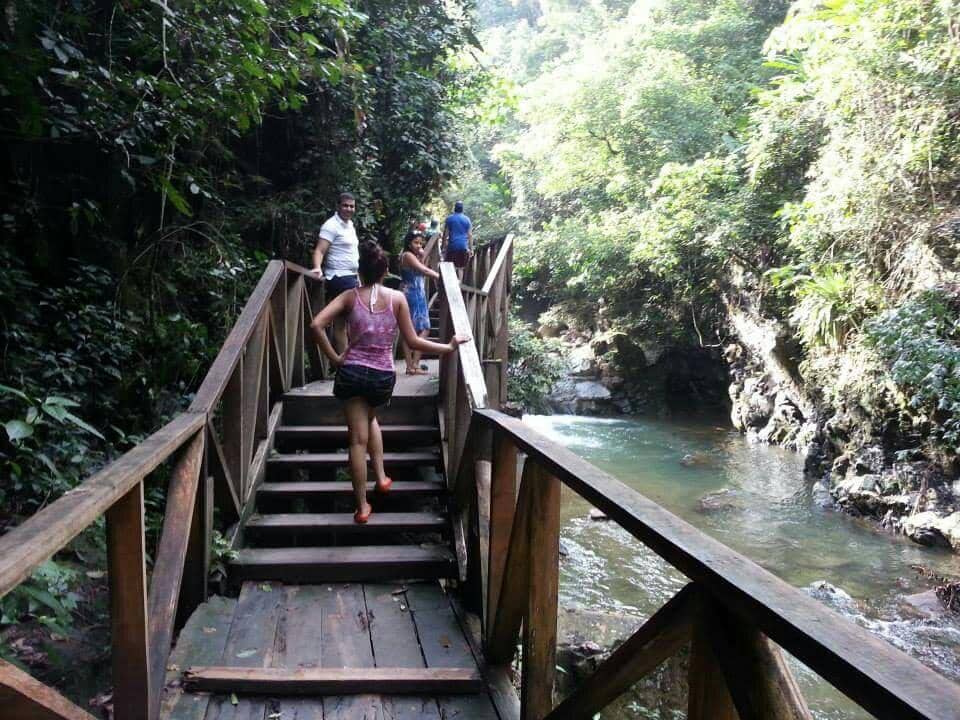 Lush Riverine Scenery