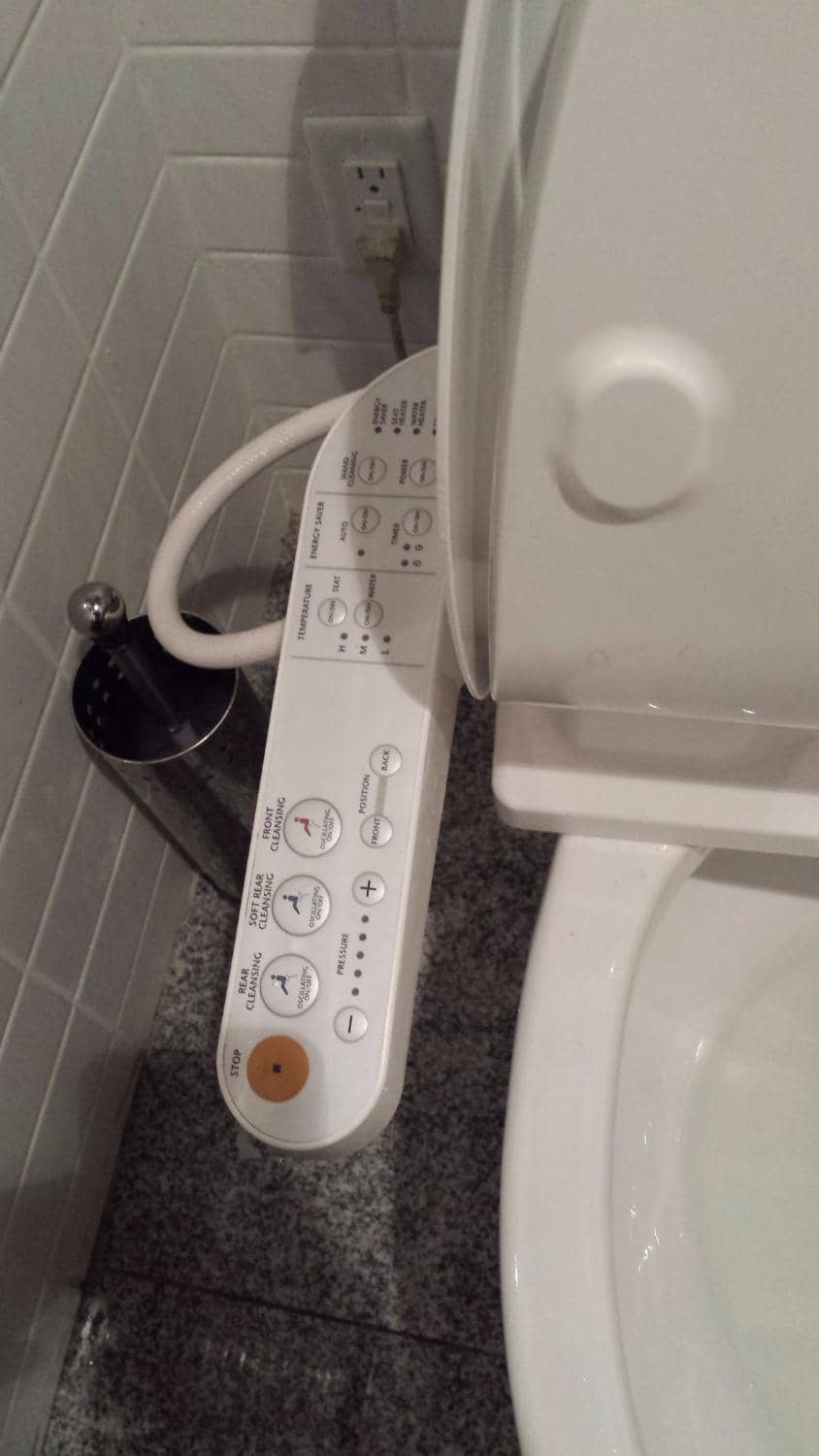 Juicy Chicken Karaage