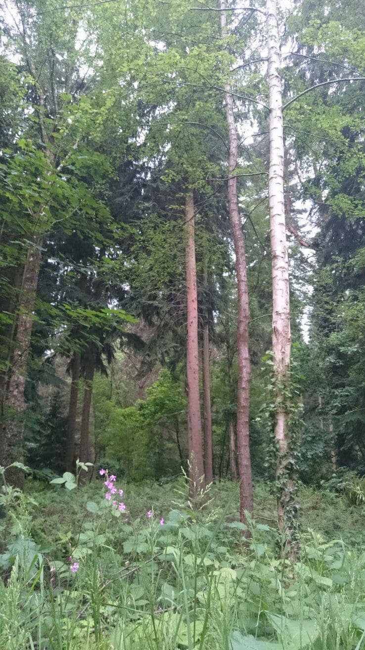 Vertical photo