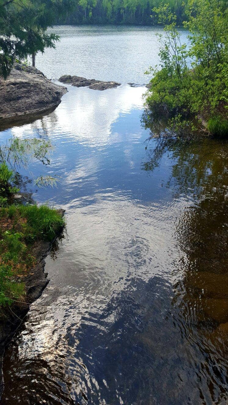 Varied Forest Scenery