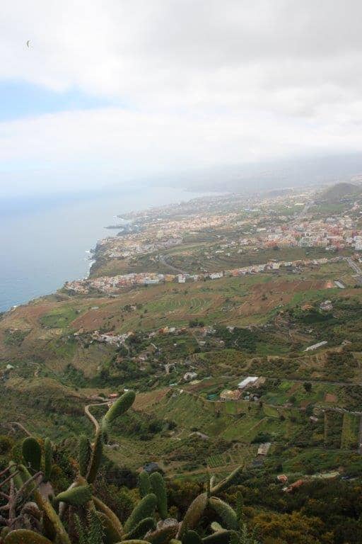 Statue of Mencey Bentor