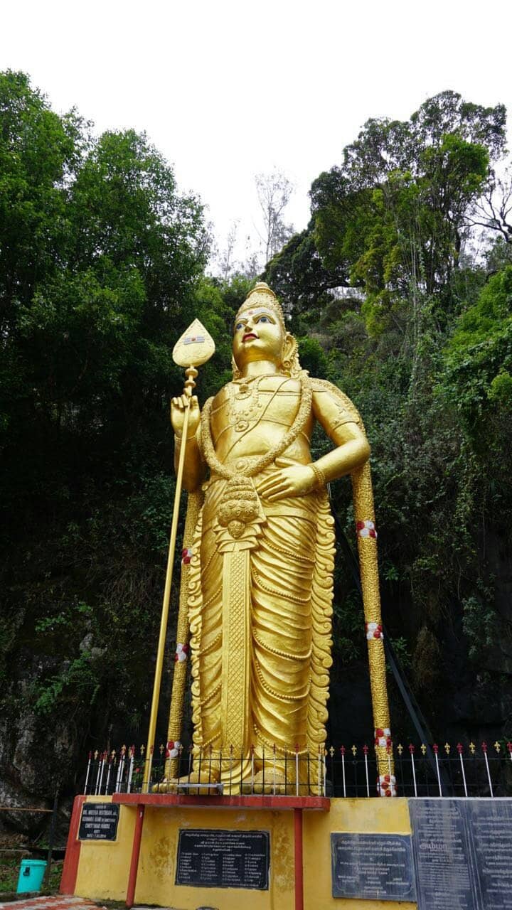 Panoramic Hilltop Views