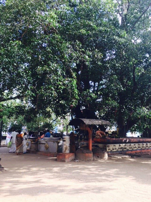 Kettukazhcha (Bull Effigies)