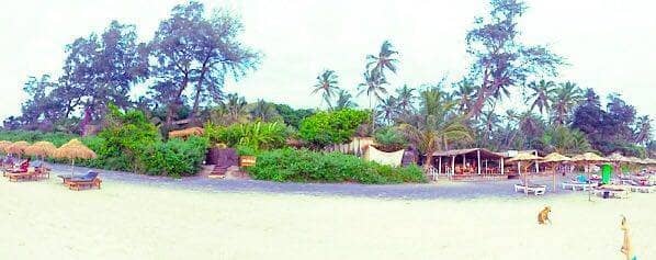 Tranquil Beach Walks