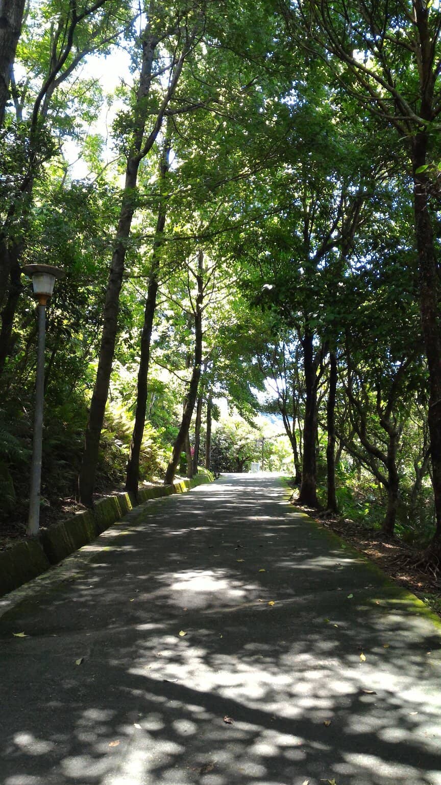 Vertical photo