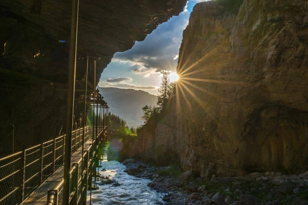 Vertical photo