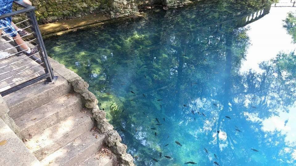 Historic Courtyard & Gardens