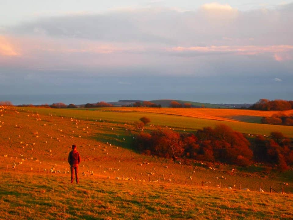 Panoramic South Downs Views