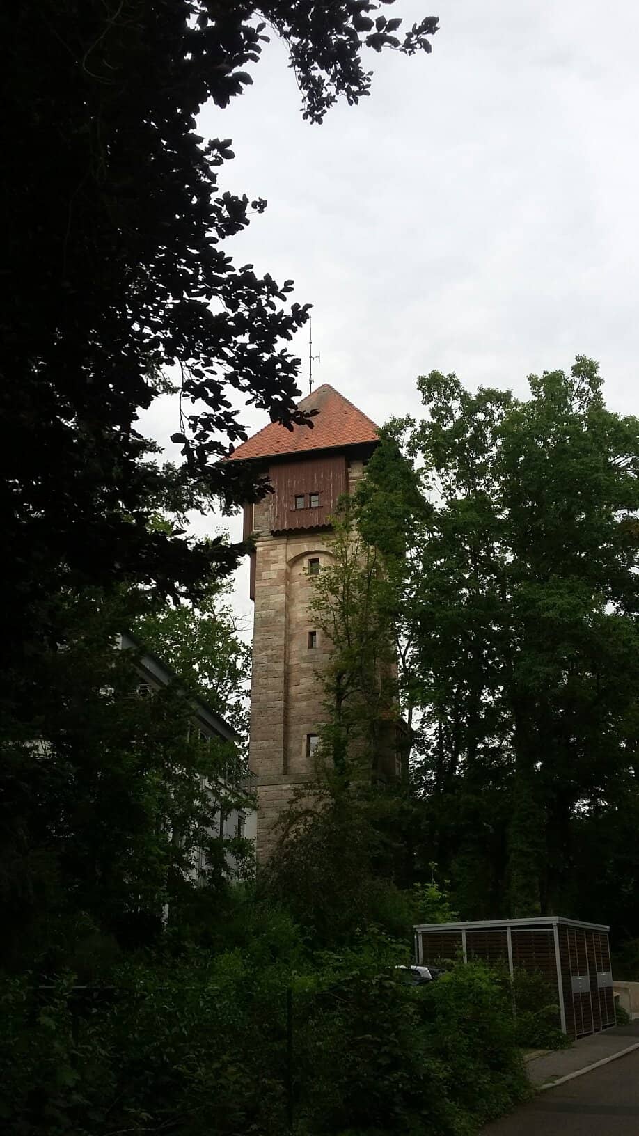 Vertical photo