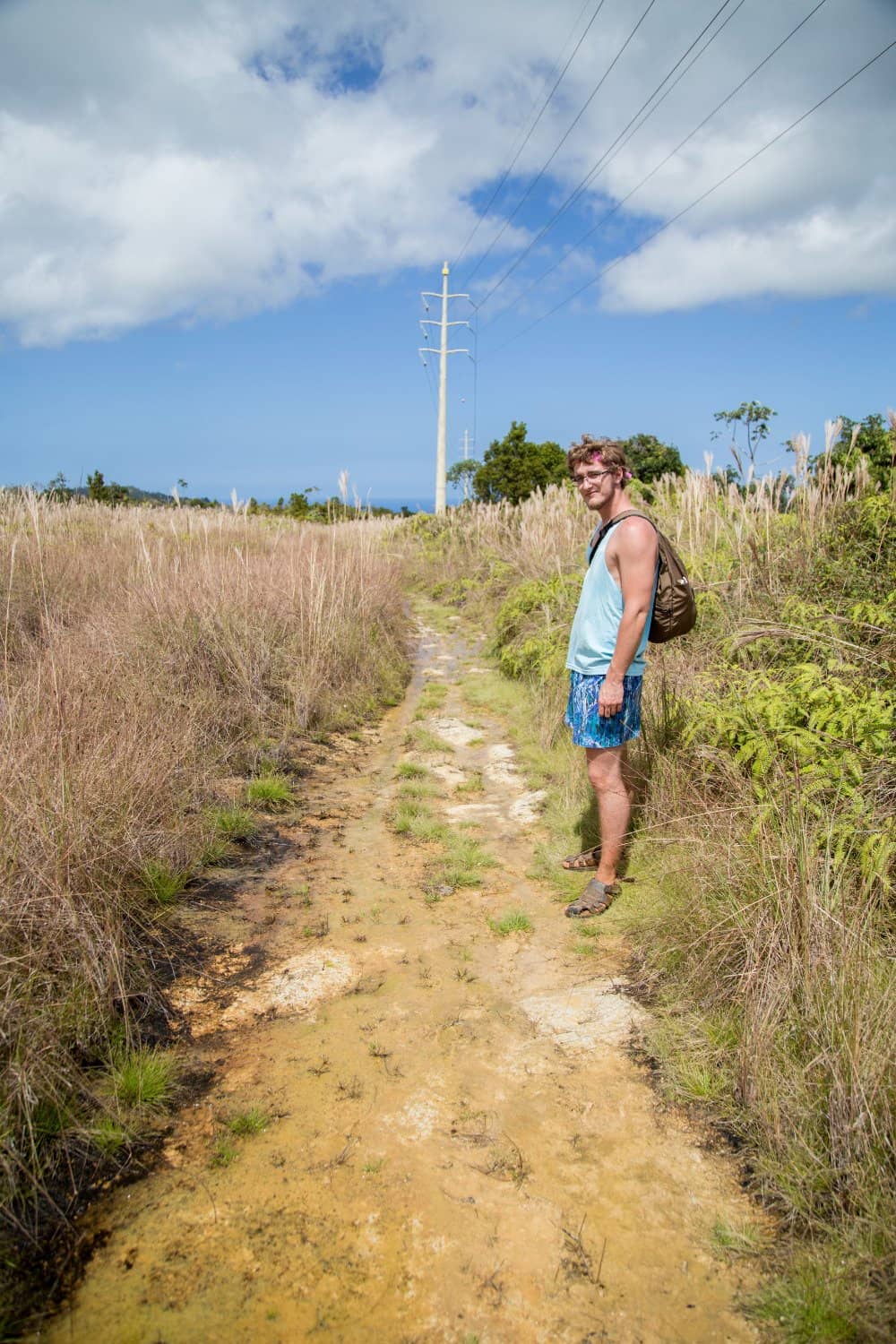 Hanalei Bay Overlook