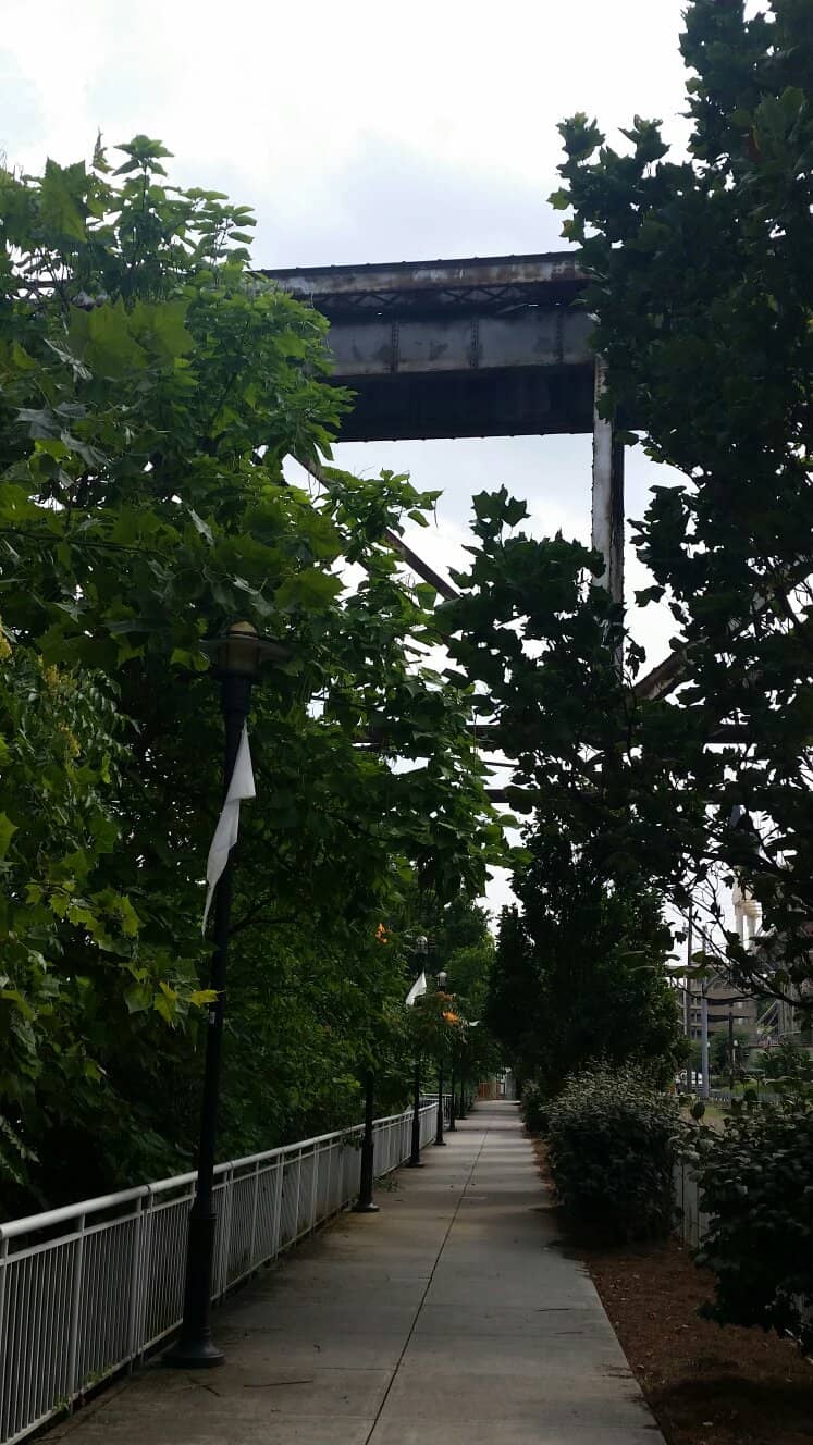 Red Bull Championship Run