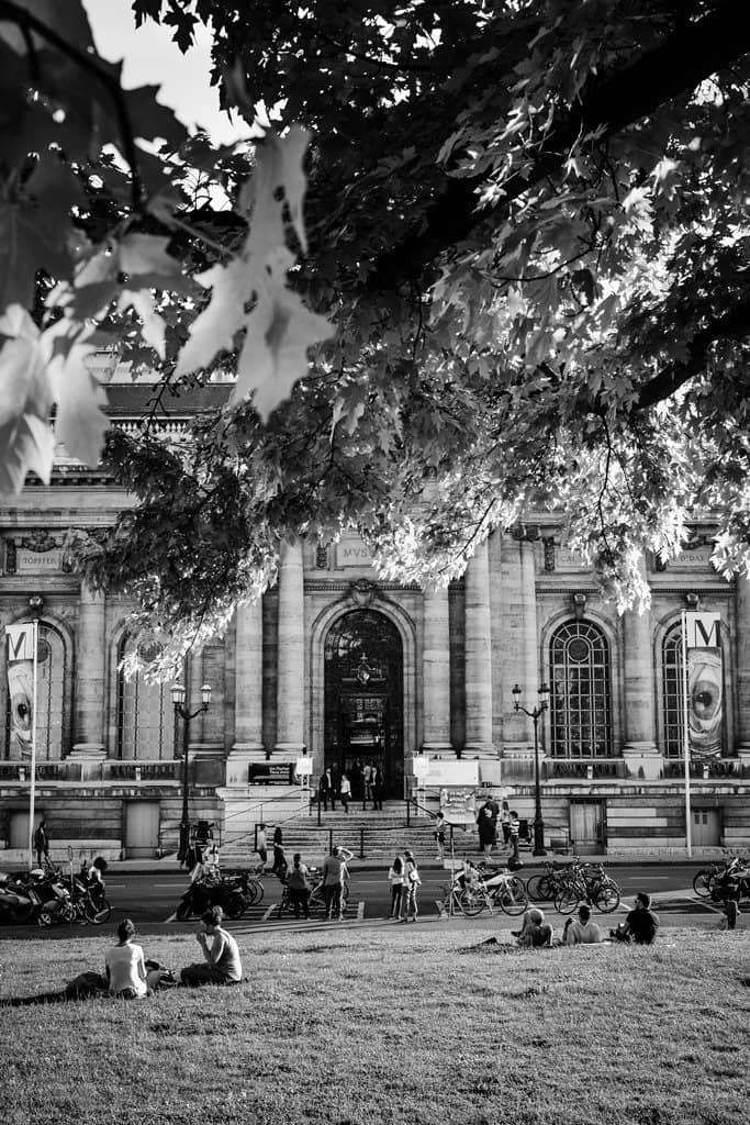 Lace-Making Demonstrations
