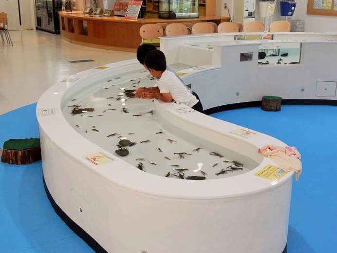 Shimane's Native Species