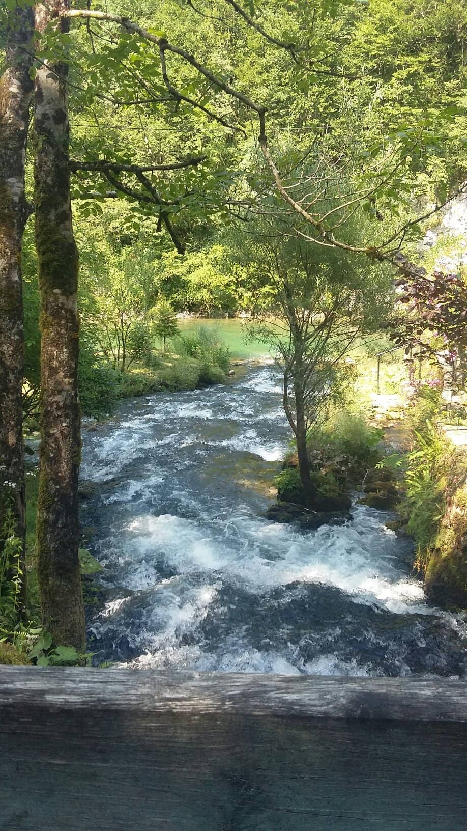 Source of the Kupa River