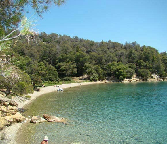 Family-Friendly Sandy Shores