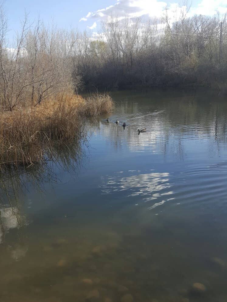 Animas River Trails