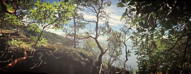 Alyard Farm Picnic Area