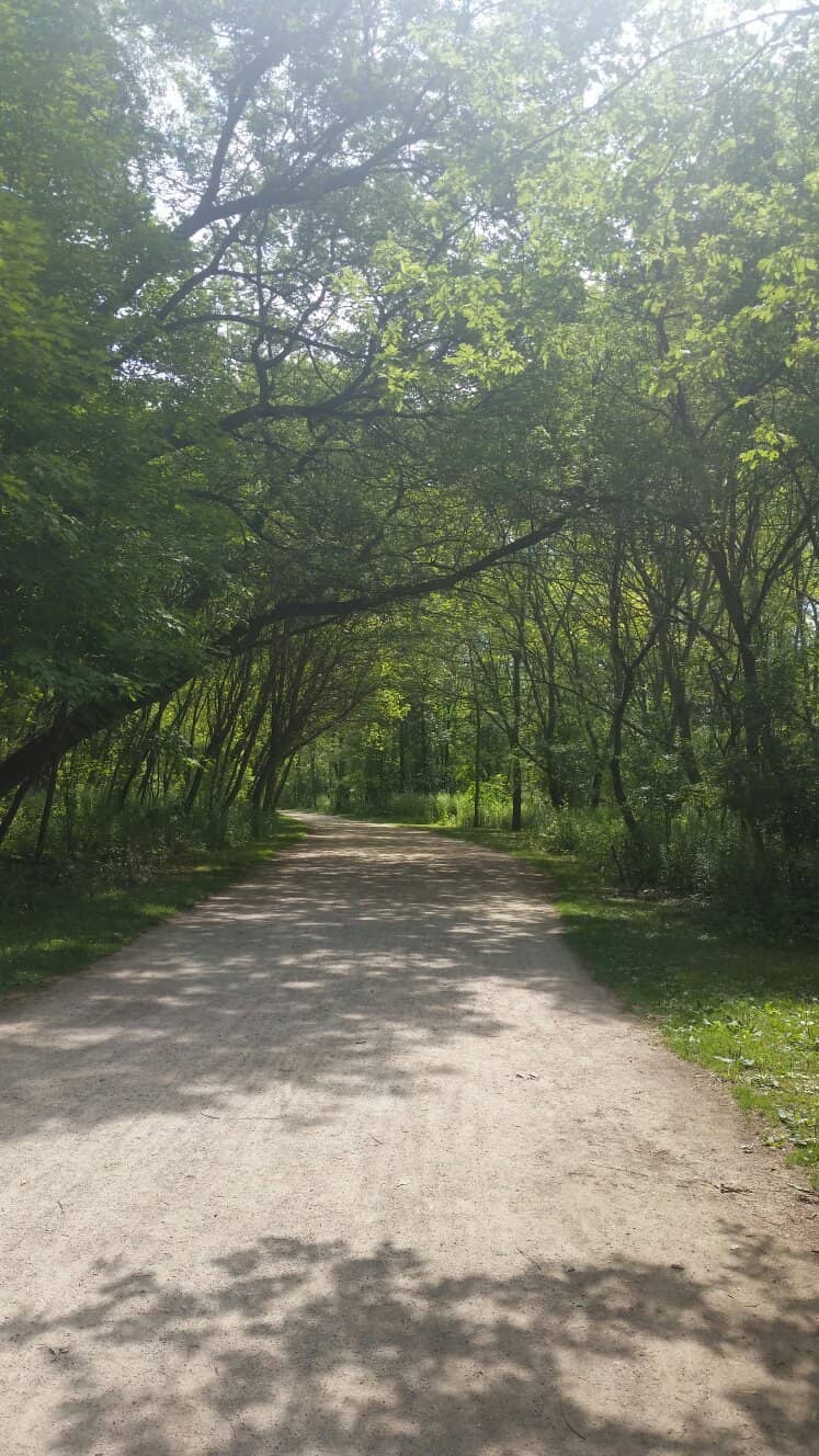 Autumn Foliage Spectacle