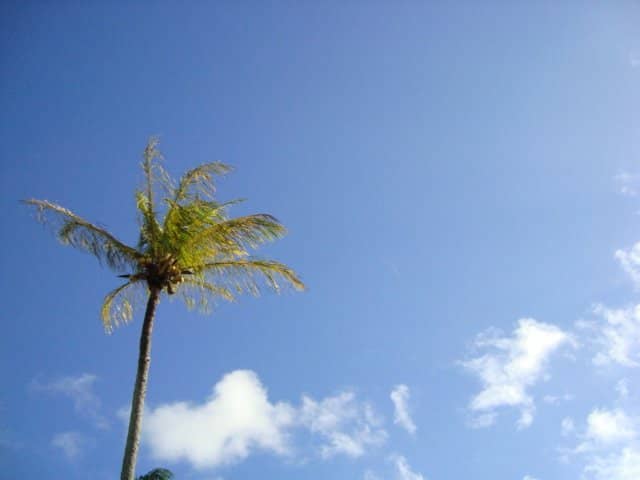 Pico do Pão de Açúcar Viewpoint