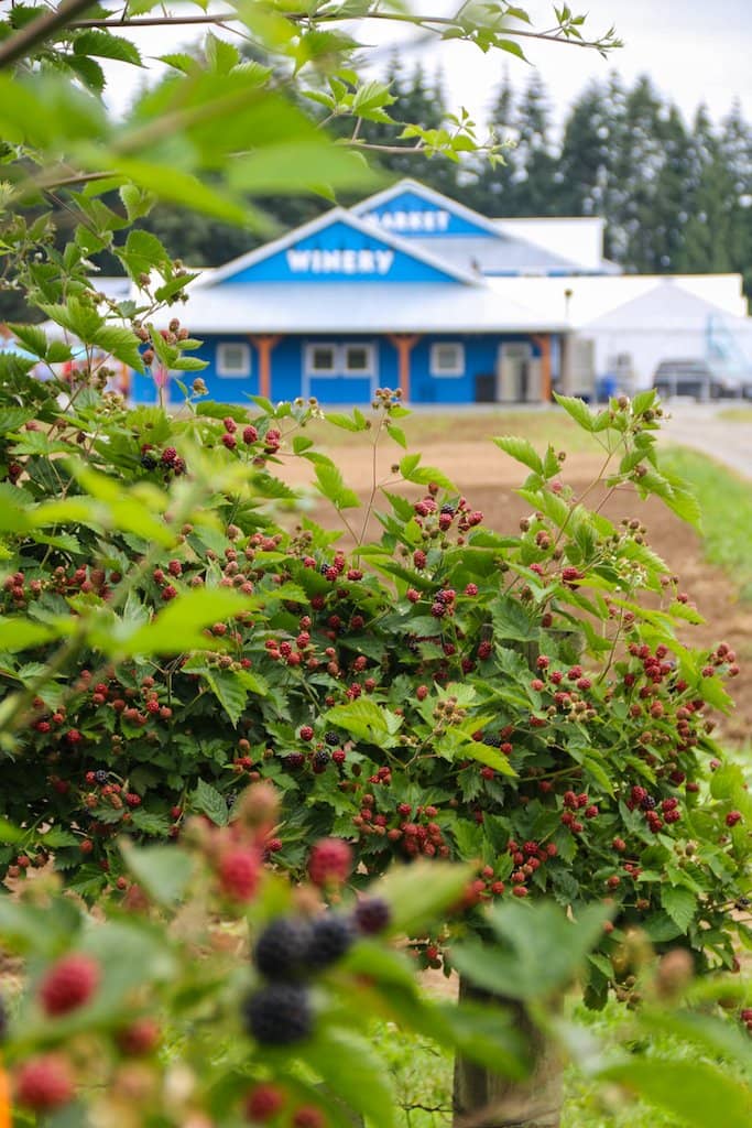 Farm Market & Cafe