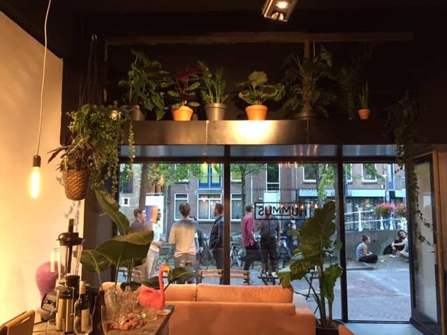 Pita Bread from a Windmill