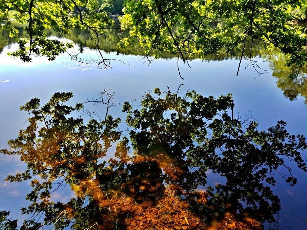 Puffer's Pond Beach