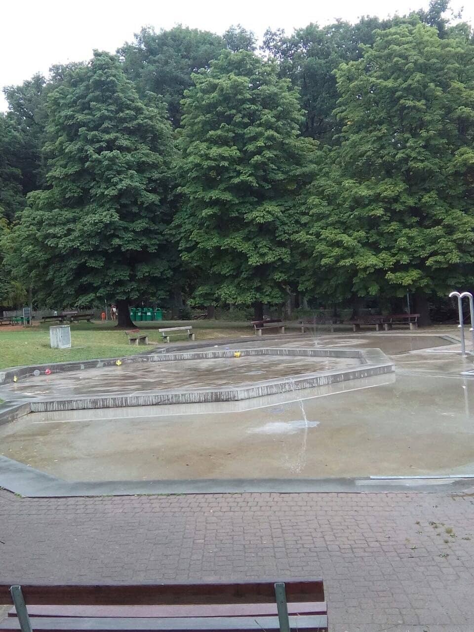 Charming Animal Park