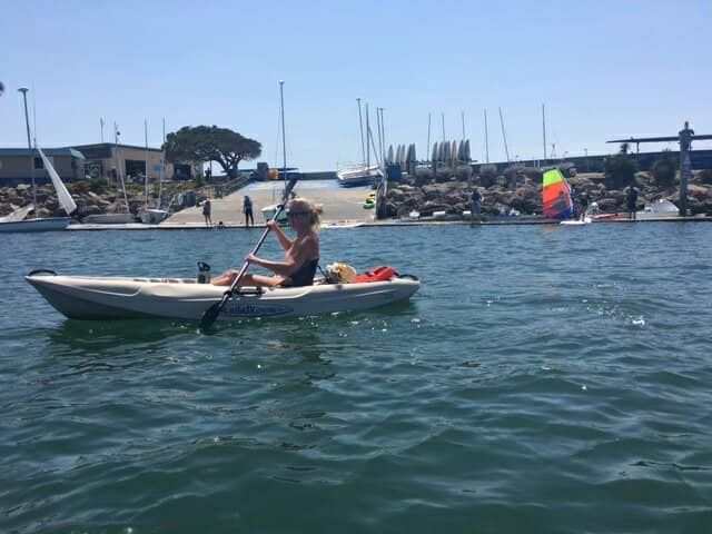 Sea Lion & Seal Spotting