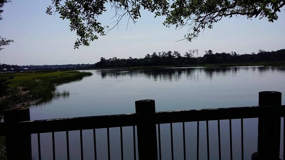 Nature Island Boardwalk