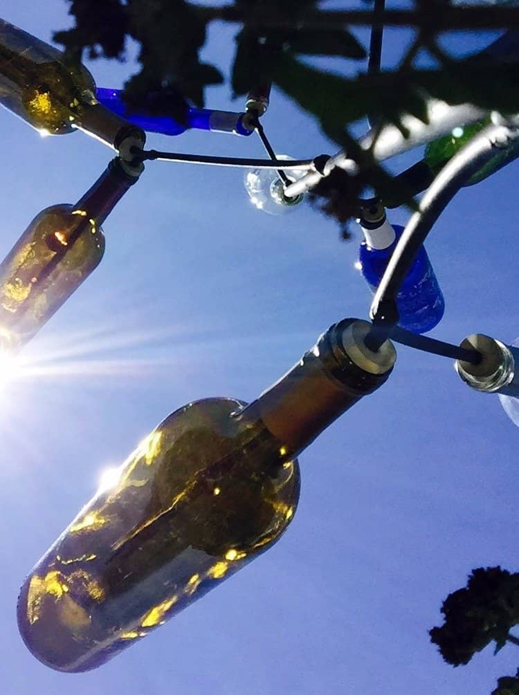 Scenic Vineyard Views