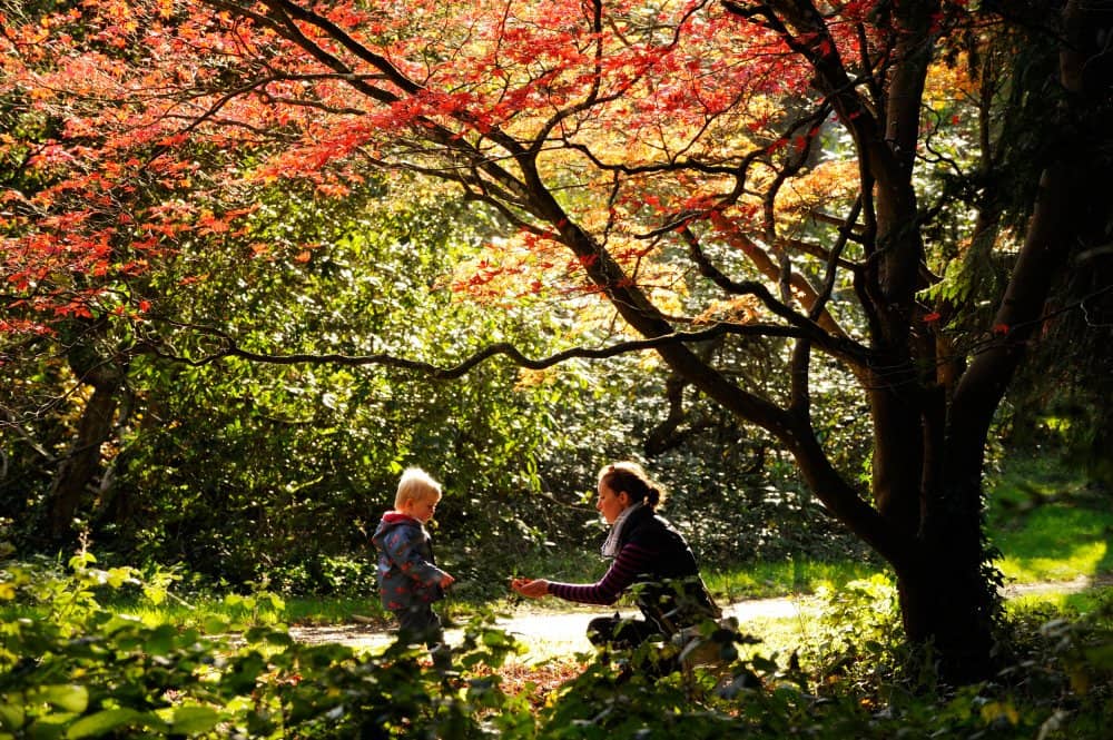 The Arboretum