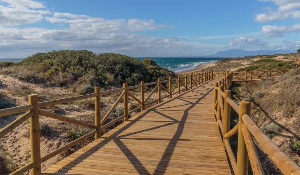 The Protected Dunes