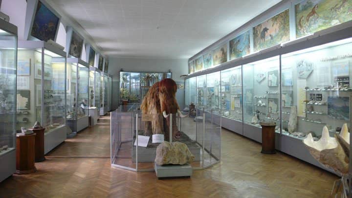 Human Origins Hall