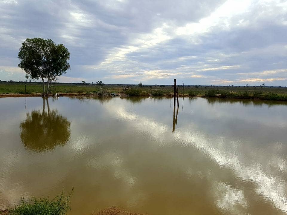 Singing in the Night Concert